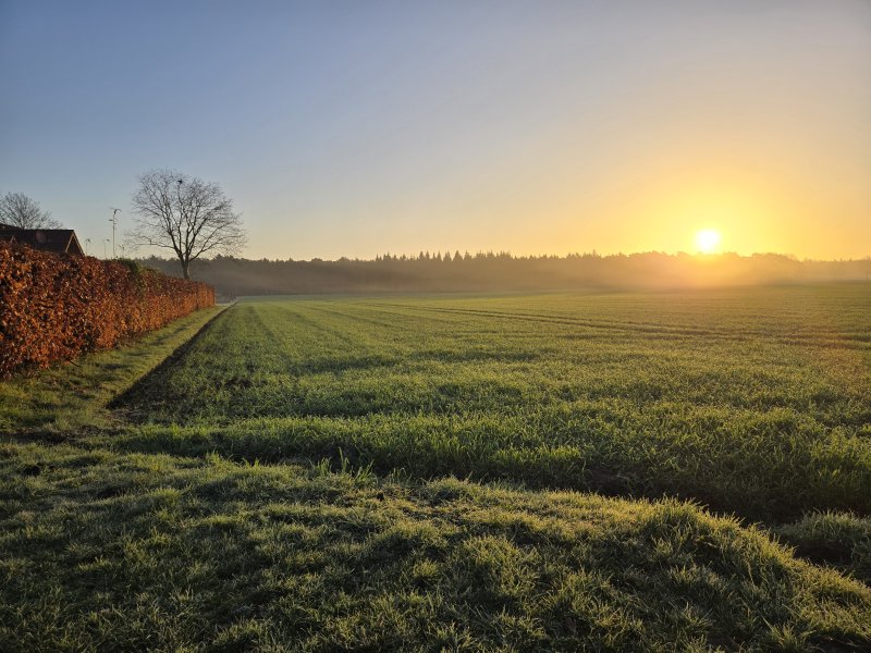 Hüllstederfeld